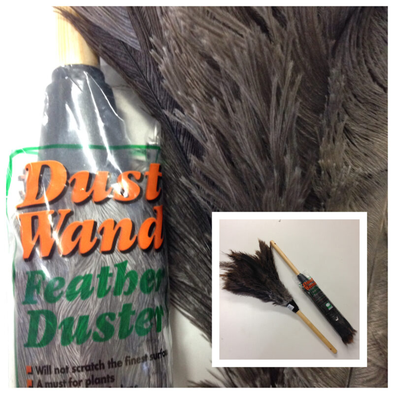 Feather Duster