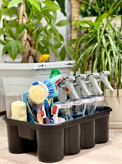 Cleaning Caddies